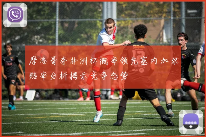 摩洛哥夺非洲杯概率领先塞内加尔赔率分析揭示竞争态势
