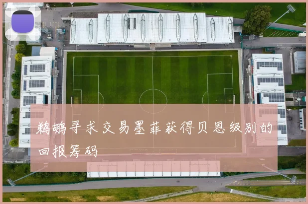 鹈鹕寻求交易墨菲获得贝恩级别的回报筹码